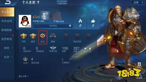 王者体验服最新爆料游戏,神秘英雄登场，战局再掀风云！